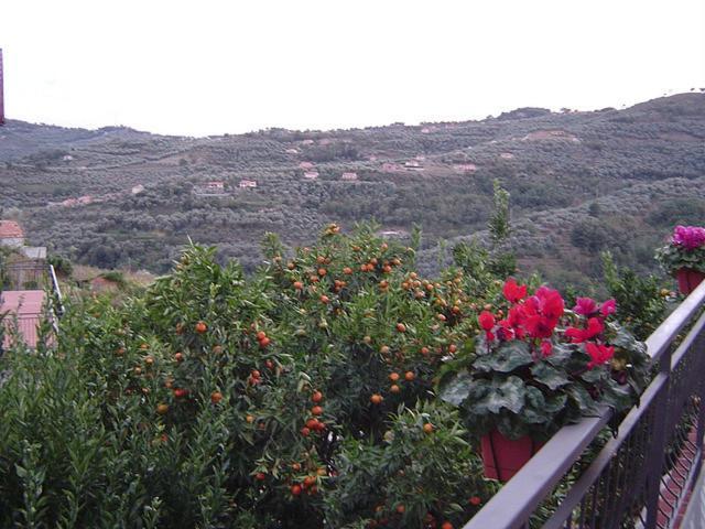 Alloggio per agriturismo Ca' De Pippu